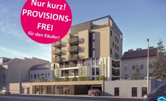 Ideales Investment mit Perspektive - Erzherzog-Karl-Straße!