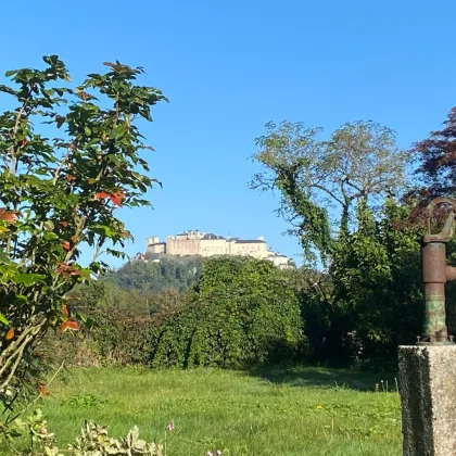 Ein Stück Paradies mit traumhaftem Ausblick! - Bild 2