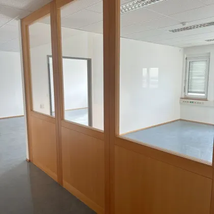 Starten Sie hier Ihr Business: Moderne Büroflächen im IZ-NÖ Süd - Bild 2