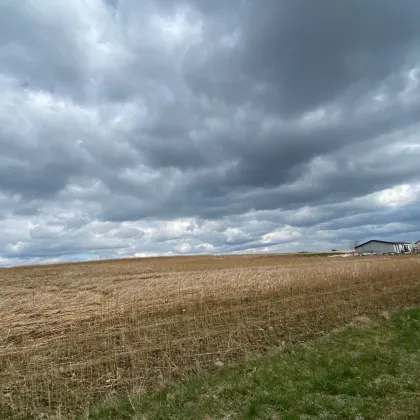 Betriebsbaugrund Krems Land - Bild 3