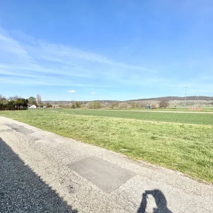 Bauträgergrundstück in Winden am See mit Bebauungstudie - Bild 2