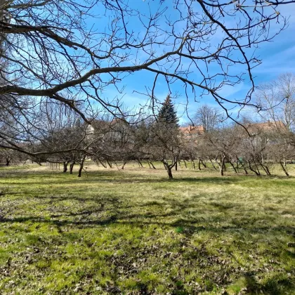 Sonnige Baugründe im Stadtbereich von Hartberg - Bild 3