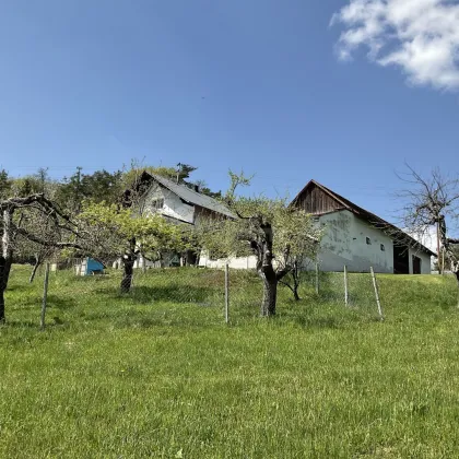 Charmanter Vierkanthof im Südburgenland - Traumhafte Landidylle in absoluter Ruhelage - Bild 3