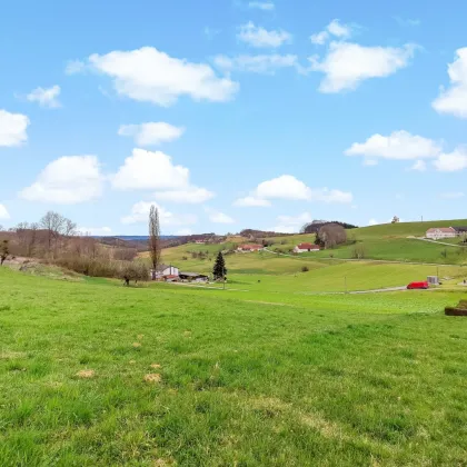 Neuer Preis! - Großer Wohnbau-Grund. - Zwischen Jennersdorf und Fürstenfeld. - Teilung möglich. - Bild 3