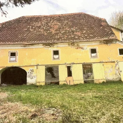 Fehring- Brunn, Herrenhaus, hohen Sanierungsbedarf, Bach, Teich , Bauernhaus, Grund ca. 27.335 m², Mühle - Bild 3