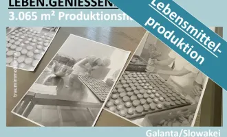 GROßE FLÄCHEN FÜR LEBENSMITTELPRODUKTION