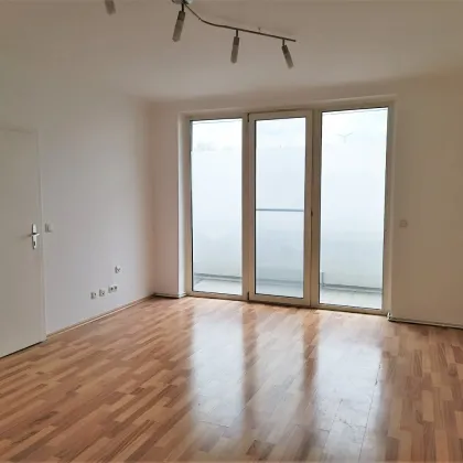 Großzügige 2-Zimmer Wohnung mit Loggia! Ideale Anbindung zur U6 Dresdnerstraße! Grünanlage! - Bild 3