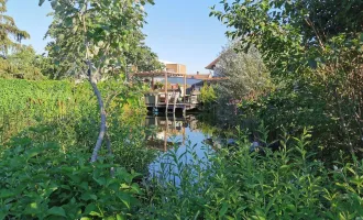 Verbunden mit der Natur!! Sonnige Wohlfühloase mit Schwimmteich und einem großzügigen Wohnhaus