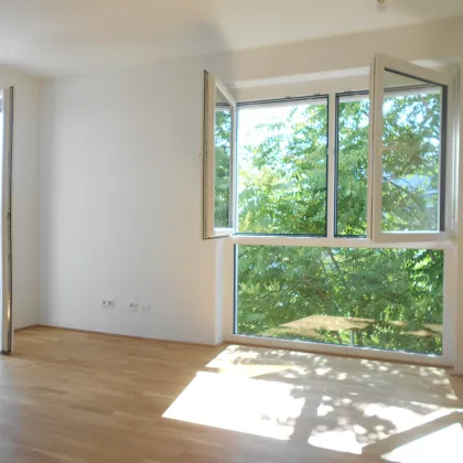 Grottenhofstraße sonnige 3ZI mit 17m² West/Terrasse - Bild 3