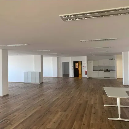 Wiener Neudorf: Büroflächen in unterschiedlichen Größen südlich von Wien  - TOP MIETE - Bild 2