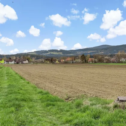 Ebenes Landwirtschaftliches Grundstück. - Zwischen Lieboch und Voitsberg. - Bild 2