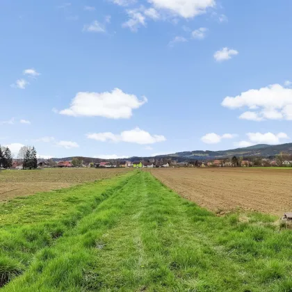 Ebenes Landwirtschaftliches Grundstück. - Zwischen Lieboch und Voitsberg. - Bild 3