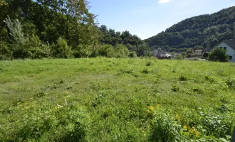 Großes Baugrundstück in Sonnenlage in Senftenberg bei Krems an der Donau - bereits aufgeschlossen - kein Bauzwang