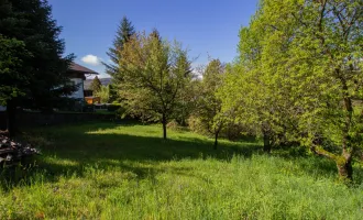 IDYLLISCHES BAUGRUNDSTÜCK IN ABSOLUTER RUHELAGE AM MILLSTÄTTER SONNENPLATEAU