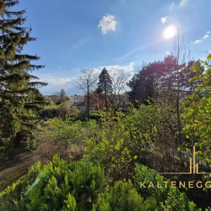 Entzückende 3-Zimmer-Wohnung mit Loggia in absoluter Ruhelage - Bild 2