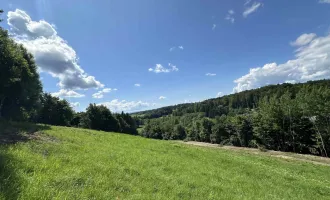 Ideales Grundstück für Einfamilienhäuser mit wunderschönen Weitblick nahe des Grazer Stadtrands am Kaiserbergs in Lannach