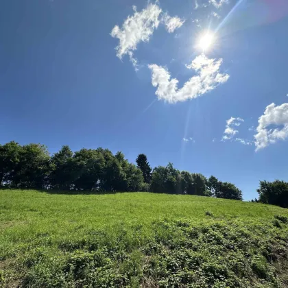 Ideales Grundstück für Einfamilienhäuser mit wunderschönen Weitblick nahe des Grazer Stadtrands am Kaiserbergs in Lannach - Bild 2