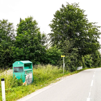 Bauerwartungsland mit Altbestand in Enns - Bild 3