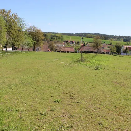 Willersdorf: Bauernhaus mit Nebengebäude in ruhiger Aussichtslage - Bild 2