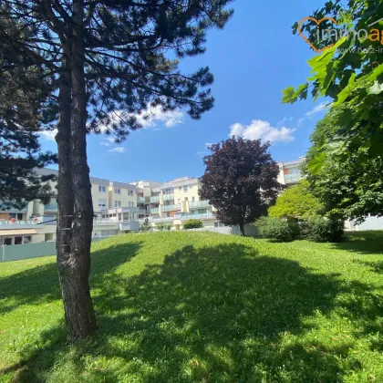 3- Zimmer Wohnung plus Balkon und überdachten KFZ-Abstellplatz in Marchtrenk zu verkaufen - Bild 2