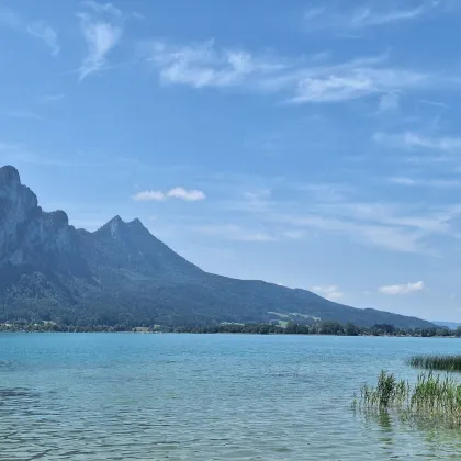 SEEN`s WERT!!! Badeplatz am Mondsee und Zweitwohnsitz - Bild 2