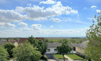 Einfamilienhaus mit Weitblick - ca. 1.130m² Grundstücksfläche - Nähe: Strandbad Neusiedl am See und Mole West