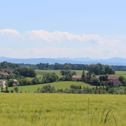 11 Baugrundstücke in Niederneukirchen (Nähe Linz) - Bild 3