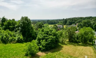 Sonniges Grundstück in TOP-Lage am Gedersberg zum Spitzenpreis!