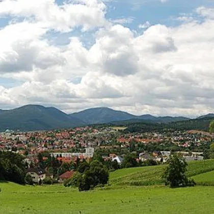 Baugrundstück in Berndorf - Toplage  provisionsfrei! - Bild 3