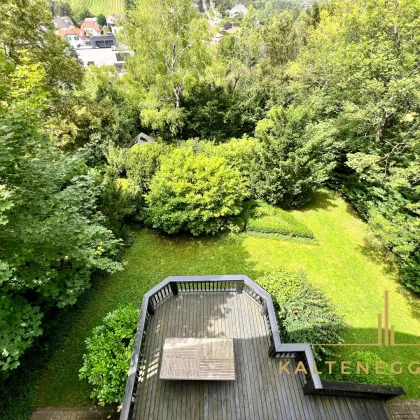 Perchtoldsdorf: Geräumige Jugendstil-Villa mit Terrasse und idyllischem Garten - Bild 2