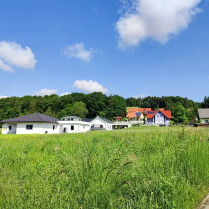 Baugrund für bis zu ca. 280 m² Wohnfläche. - Ideal für Familien. - Ruhige Wohnlage in ländlicher Idylle bei Eibiswald. - Bild 3