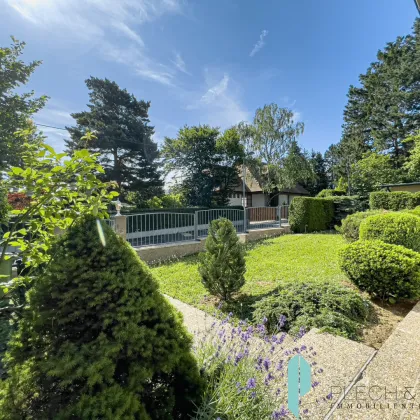 Schmuckes Einfamilienhaus nahe Lainzer Tiergarten - Bild 3