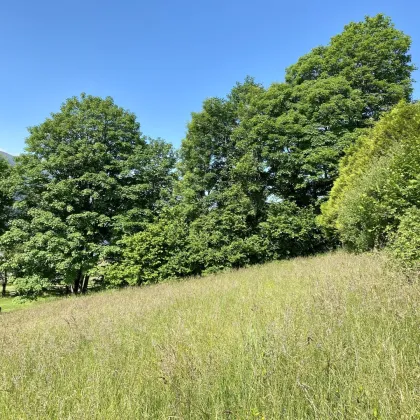 Grundstück in sonniger Traumlage - Bild 2