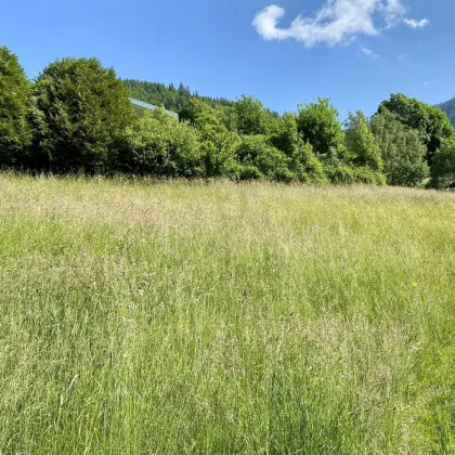 Grundstück in sonniger Traumlage - Bild 3