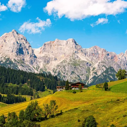 Ferienhaus mit Ski-in/Ski-out in Maria Alm - ZWEITWOHNSITZ - Bild 3