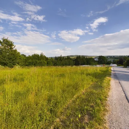 Tauchen Sie ein im Waldviertel: ZWETTL - Grundstück mit Grünblick ab 859 m² - AUFGESCHLOSSEN - Bild 3