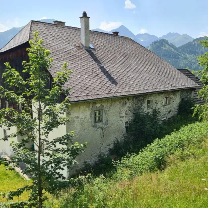 Großes, historisches Bauernhaus "Scheipplhof" 378 m² - Bild 3