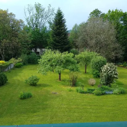 Exklusives Mehrfamilienhaus in Salzburg mit großem Garten - Bild 2