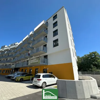 STUDENTEN- UND BUSINESSAPARTMENTS – MODERN WOHNEN BEIM LAAER WALD - GRÜNRUHELAGE - Bild 3