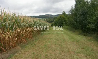 CAMPO LAND- U. FORSTWIRTSCHAFT: Pferdefreunde aufgepasst - 12,7 ha Acker und 10 ha Wald samt Bauernhaus