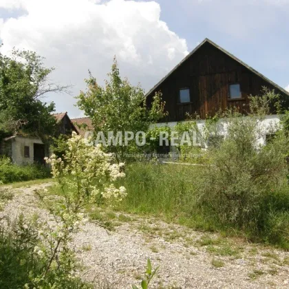 CAMPO LAND- U. FORSTWIRTSCHAFT: Pferdefreunde aufgepasst - 12,7 ha Acker und 10 ha Wald samt Bauernhaus - Bild 3