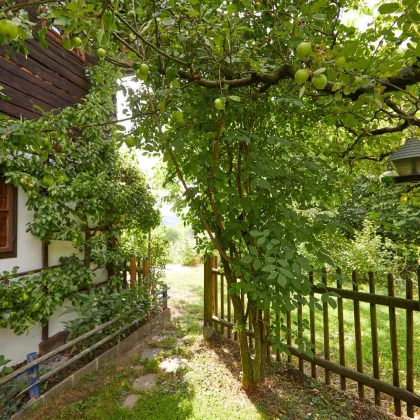 Landhaus Bauernhaus - ein exklusives Liebhaberobjekt - Bild 2