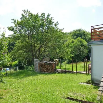 Mehrfamilienhaus mit Traumterrasse und Naturgarten in Zentrumsnähe - Bild 3