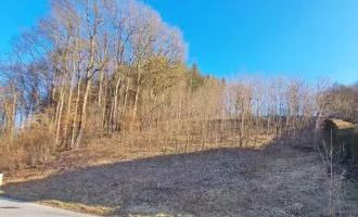 Sonniges Baugrundstück auf Südwest-Hang im Irenental