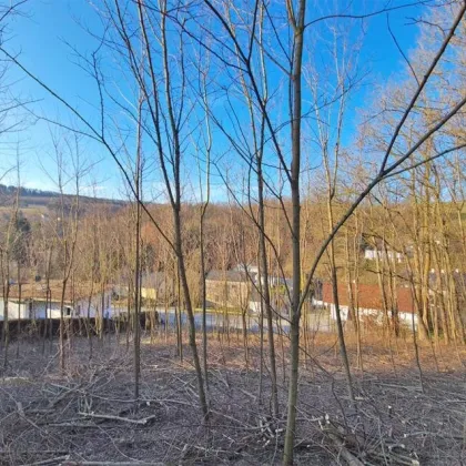 Sonniges Baugrundstück auf Südwest-Hang im Irenental - Bild 2