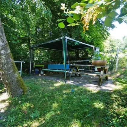 Gepflegte 4-Zimmerwohnung mit Gemeinschaftsgarten im Pressbaumer Zentrum - Bild 3