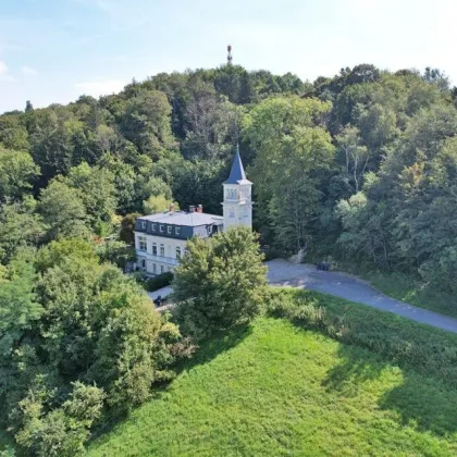 Einzigartige DG-Wohnung mit Garten in historischer "Turmvilla" - Bild 3