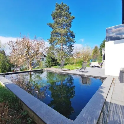 Familienwohntraum mit Naturpool, Sauna und genialem Panoramablick unweit Gablitzer Zentrum - Bild 2