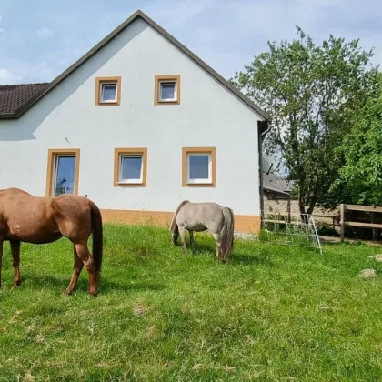 PROVISIONSFREI- Kernsanierter 4-Kanter für Pferdehaltung, 3 Hektar - Bild 2