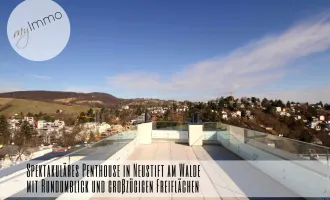 Spektakuläres Penthouse in Neustift am Walde mit Rundumblick und großzügigen Freiflächen